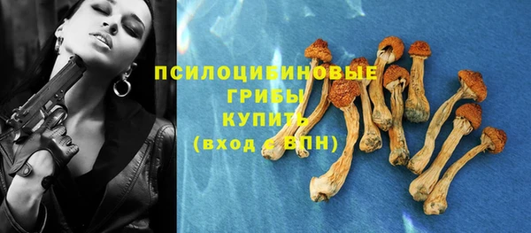 амф Алексеевка